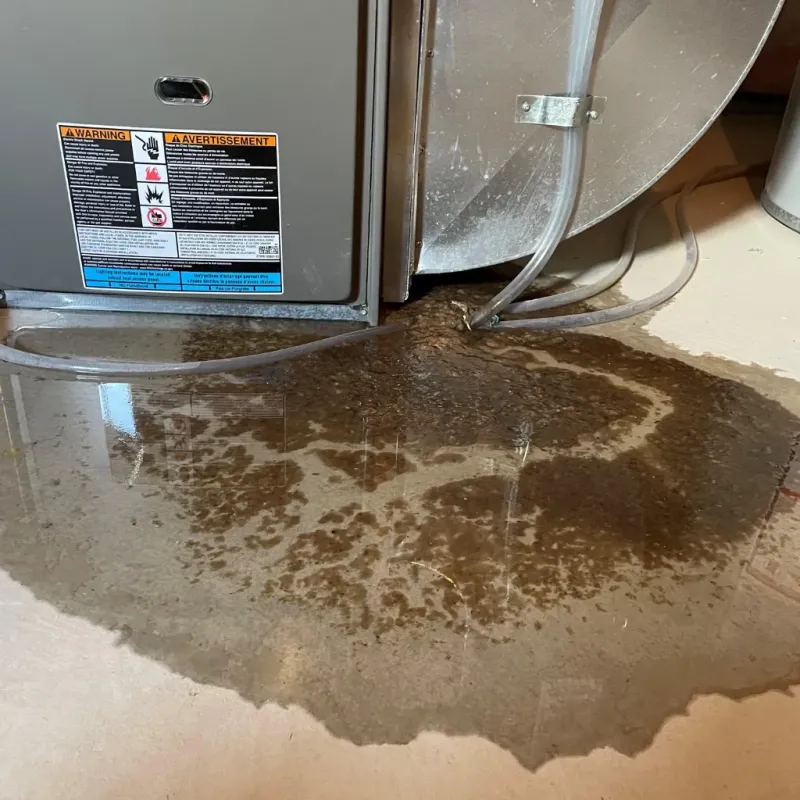 Appliance Leak Cleanup in Grants, NM